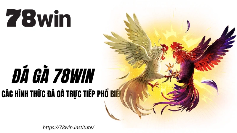 Đá Gà 78WIN: Các hình thức trực tiếp phổ biến nhất tại 78WIN COM